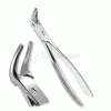 Lower Root Witzel Forcep